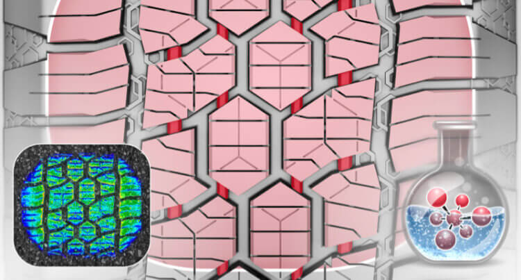 A diagram showing the tread and that the General Grabber Cross A/S is ready for fast roads